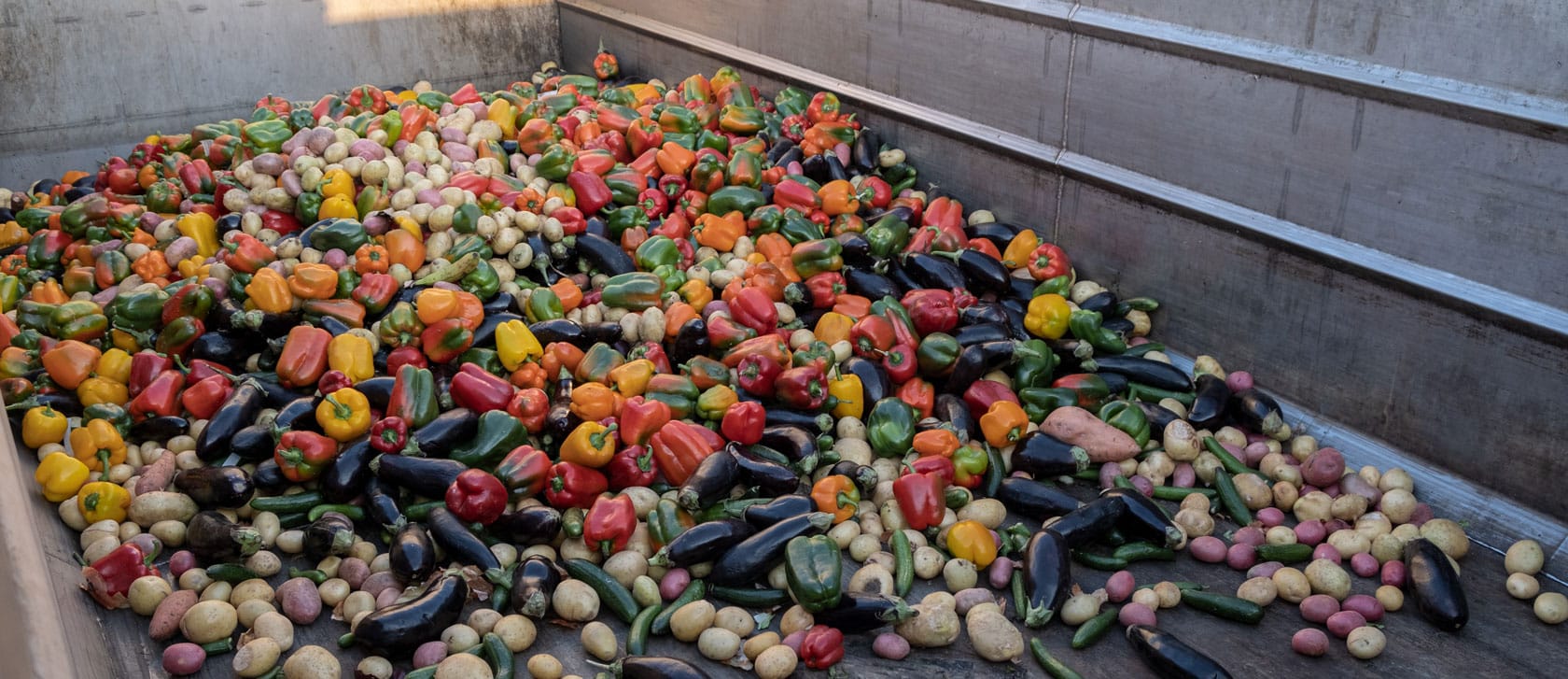 ReFood specialises in food <span>waste collection</span> and processing<span>.</span>